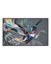 PHILIPS MONITOR DIGITAL SIGNAGE 50" Q-LINE 16:9 4K UHD 400 CDM, 18/7, CMND, LAN, DVI/HDMI-0