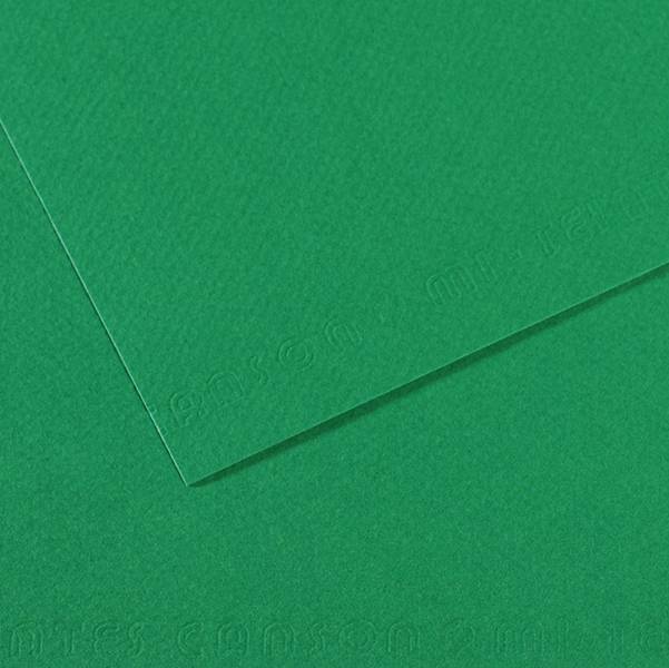 Foglio MI-TEINTES A4 cm 160 gr. 575 verde biliardo (Conf.25)-0