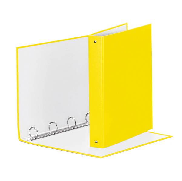 RACCOGL.MEETING 4R GIALLO VIVI22X30-0