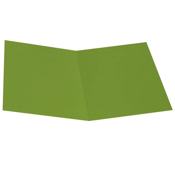 Cartellina semplice - 200 gr - cartoncino bristol - verde nilo - Starline - conf. 50 pezzi-0