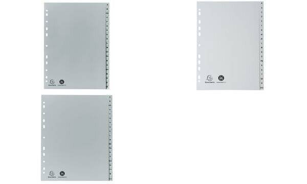 Registro Exacompta Registro A4+ PP grigio 20 pz A-Z Grigio-2