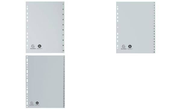 Registro Exacompta Registro A4 PP grigio 1-31 pezzi grigio-4
