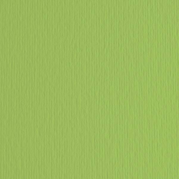 Cartoncino Bristol Elle Erre 50x70 pz.20 verde pisello-0