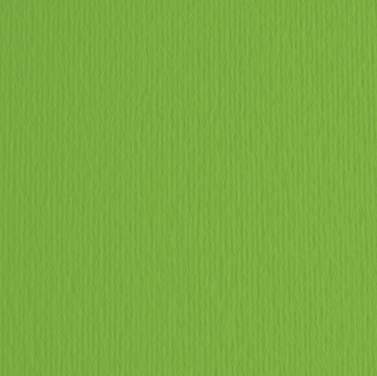 CF10 LR VERDE-70X100