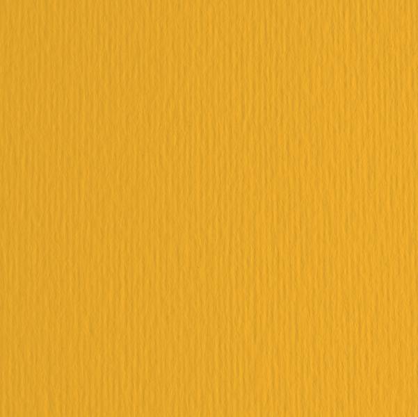 Cartoncino Bristol Elle Erre 70x100 pz.10 avana-0