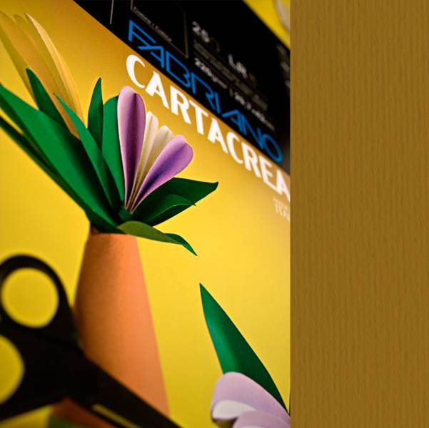 Cartacrea Fabriano Elle Erre 35x50 pz.10 marrone-0