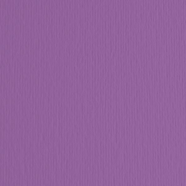 Cartoncino Bristol Elle Erre 70x100 pz.10 viola