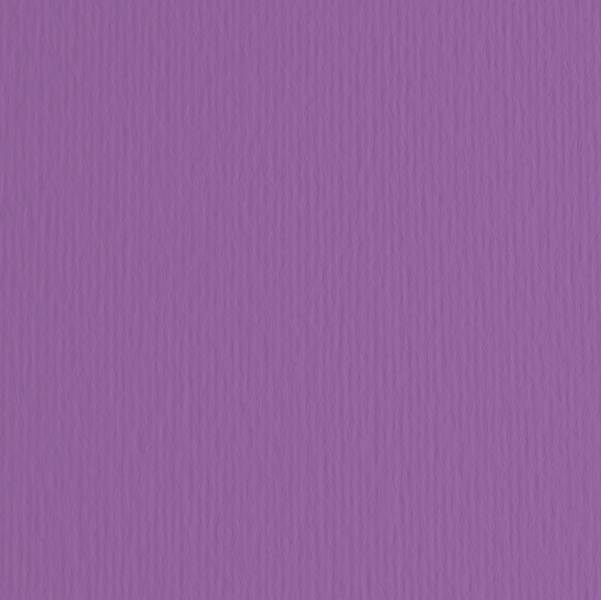 Cartoncino Bristol Elle Erre 70x100 pz.10 viola-0
