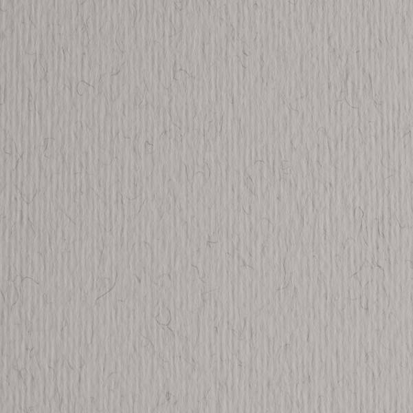 BLISTER 10FG CARTONCINO 70X100 220GR CHINA 130 FABRIANO ELLE ERRE-0