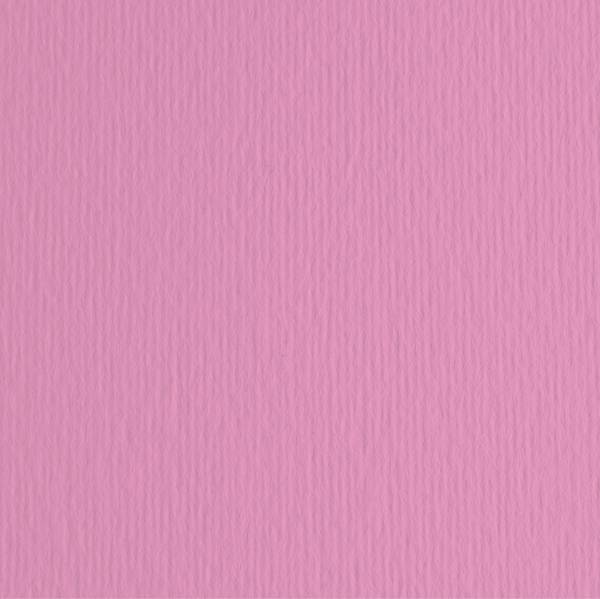 Cartoncino Bristol Elle Erre 50x70 pz.20 fucsia