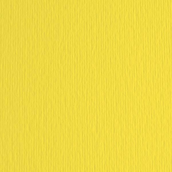 CF10 LR CEDRO-70X100-0