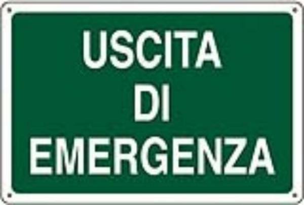 CARTELLO ALLUMINIO CM 50X35 USCITA DI EMERGENZA 03400010