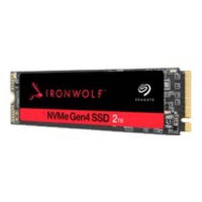 Seagate IronWolf™ 1 TB SSD interno PCIe 4.0 x4 Dettaglio ZP1000NM3A002