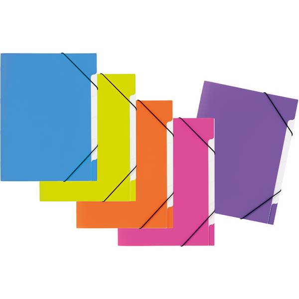 Cartella organizer PAGNA A4 trend PP fs 5 pezzi DIN A4 5 scomparti ordinati per colore