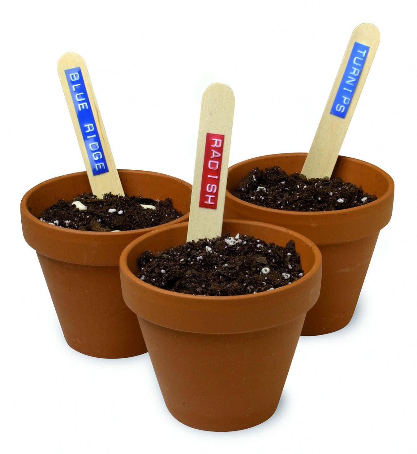 ETICHETTATRICE DYMO JUNIOR-2