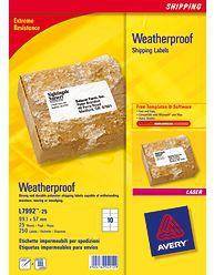 Avery Weatherproof Shipping Labels etichetta autoadesiva Bianco 250 pz L7992-25-0