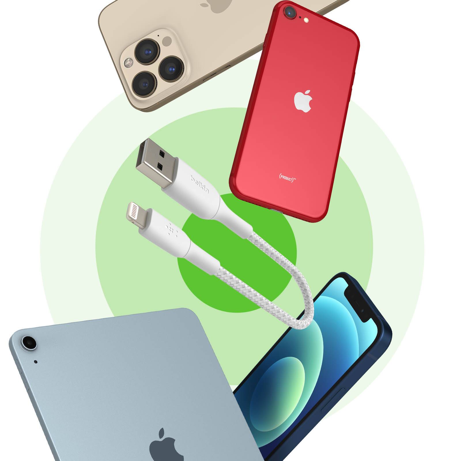 Belkin BoostCharge - Lightning-Kabel - Lightning männlich zu USB männlich-2