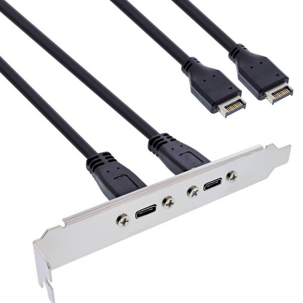 Copertura slot InLine 2x USB-C a USB 3.2 pannello frontale Key-A interna - 0,5 m