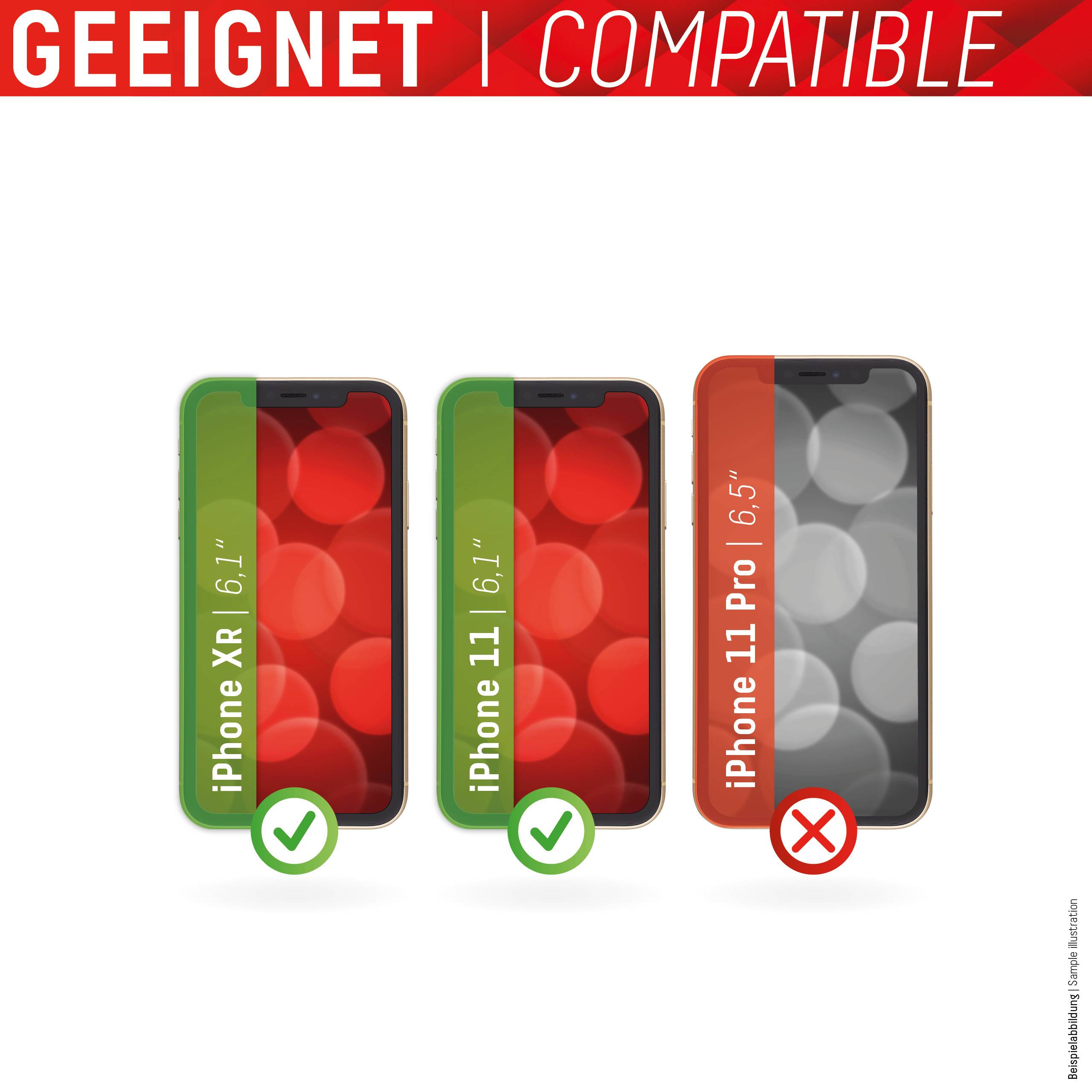 E.V.I. DISPLEX Smart Glass - Bildschirmschutz für Handy - Folie - 6.1" - für Apple iPhone 11, XR (01628)-1