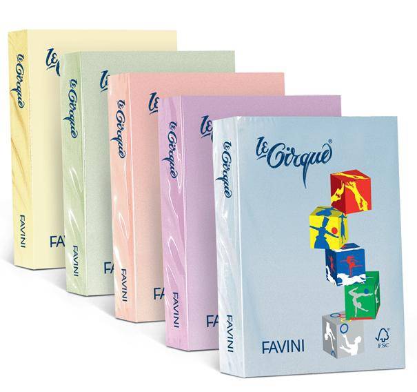 Favini RISMA LE CIRQUE 80G CAMOSCIO A4-2