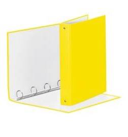RACCOGL.MEETING 4R GIALLO VIVI22X30-2