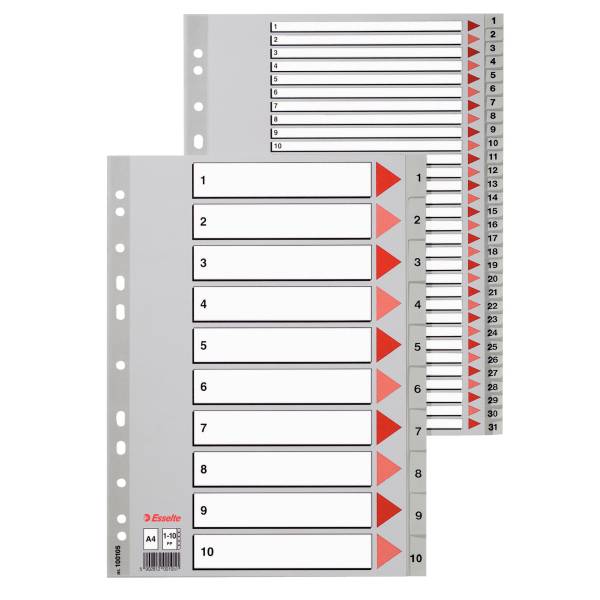 Rubrica Alfabetica in PPL A-Z Esselte - A4 - 100112 (Grigio)-2