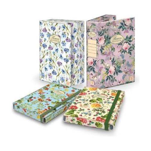 Pigna 02303643L cartella Multicolore-0