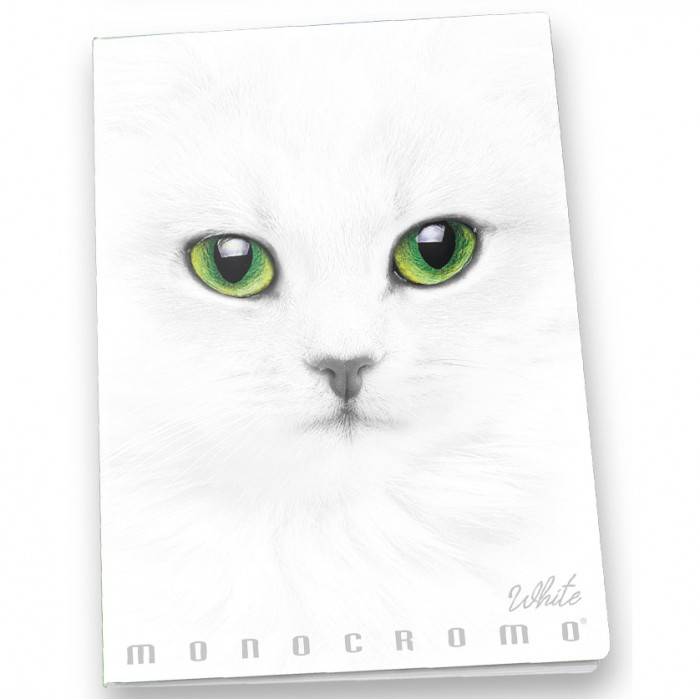 Pigna Monocromo quaderno per scrivere A4 19 fogli Bianco-1