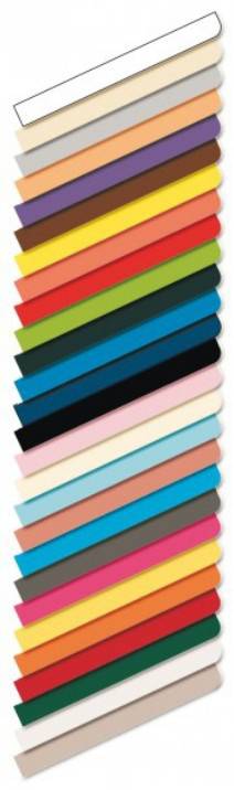 Cartoncino Bristol Elle Erre 50x70 pz.20 fucsia-1