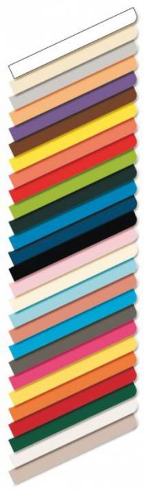 Cartoncino Bristol Elle Erre 50x70 pz.20 blu-1
