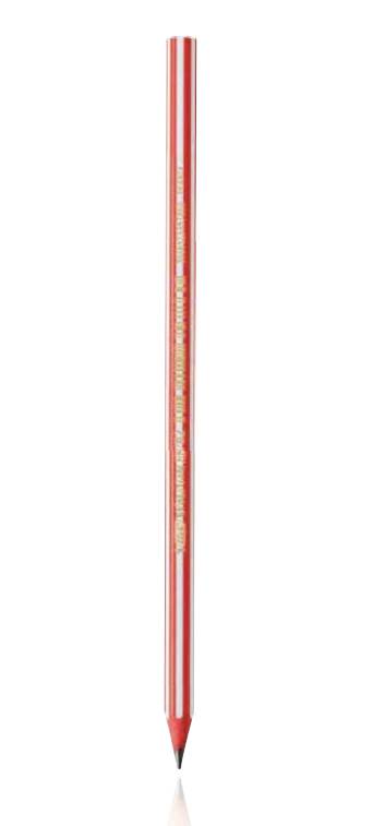 Bic 918487 SCRITTURA E CORREZIONE-1