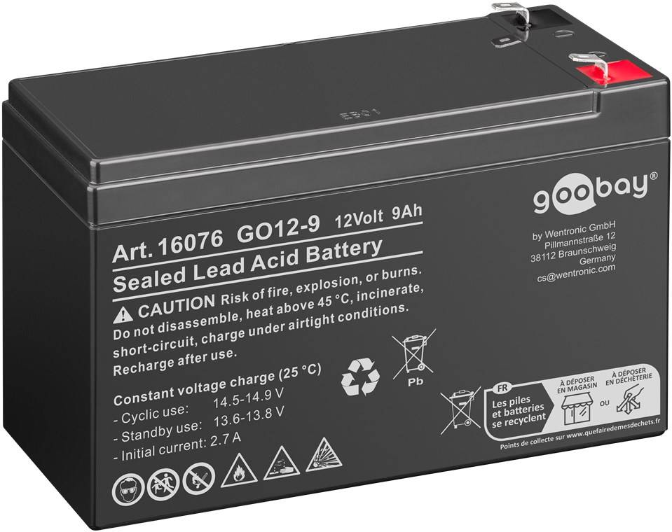 Goobay GO12-9 (9000 mAh, 12 V) - Batteria Faston (4,8 mm) al piombo, BattG