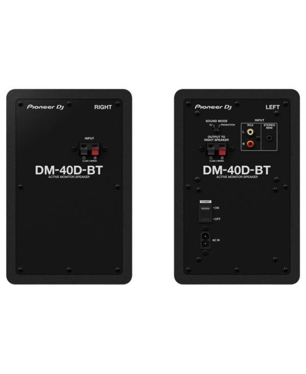 Pioneer DM-40D-BT altoparlante 2-vie Nero Con cavo e senza cavo 38 W