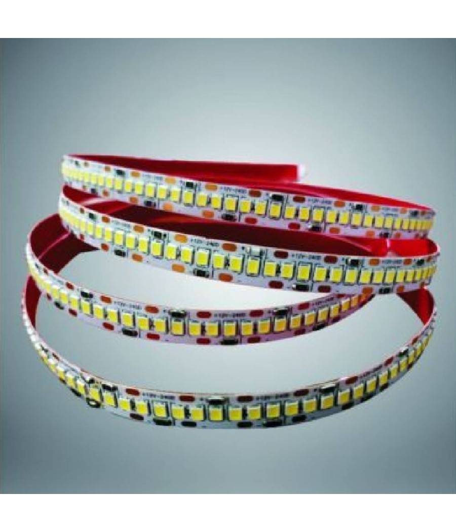 Striscia Led Smd 2835 Alta Luminosità 5mt Luce 6500k 3000k 4000k 2835-24v-240 - -Bianco Naturale --0