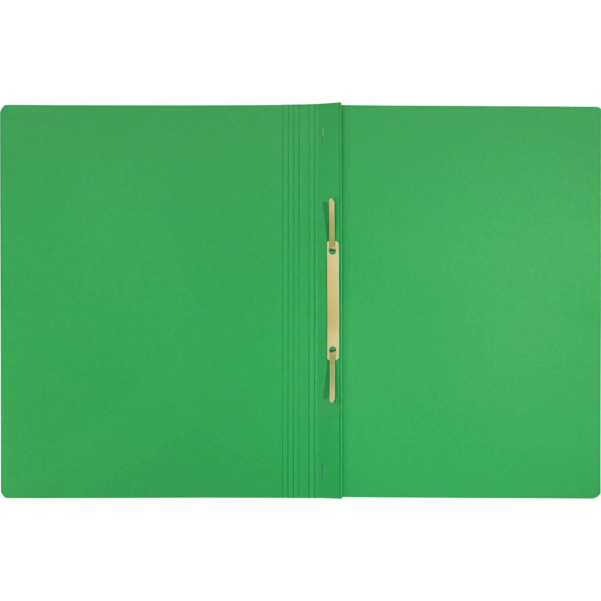 Leitz 39040055 cartella Cartoncino Verde A4-1