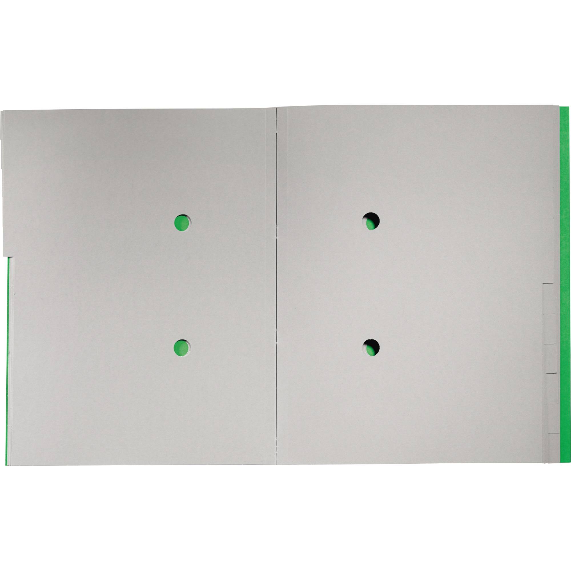 Cartella di ordine Leitz DIN A4 12 volte verde-1