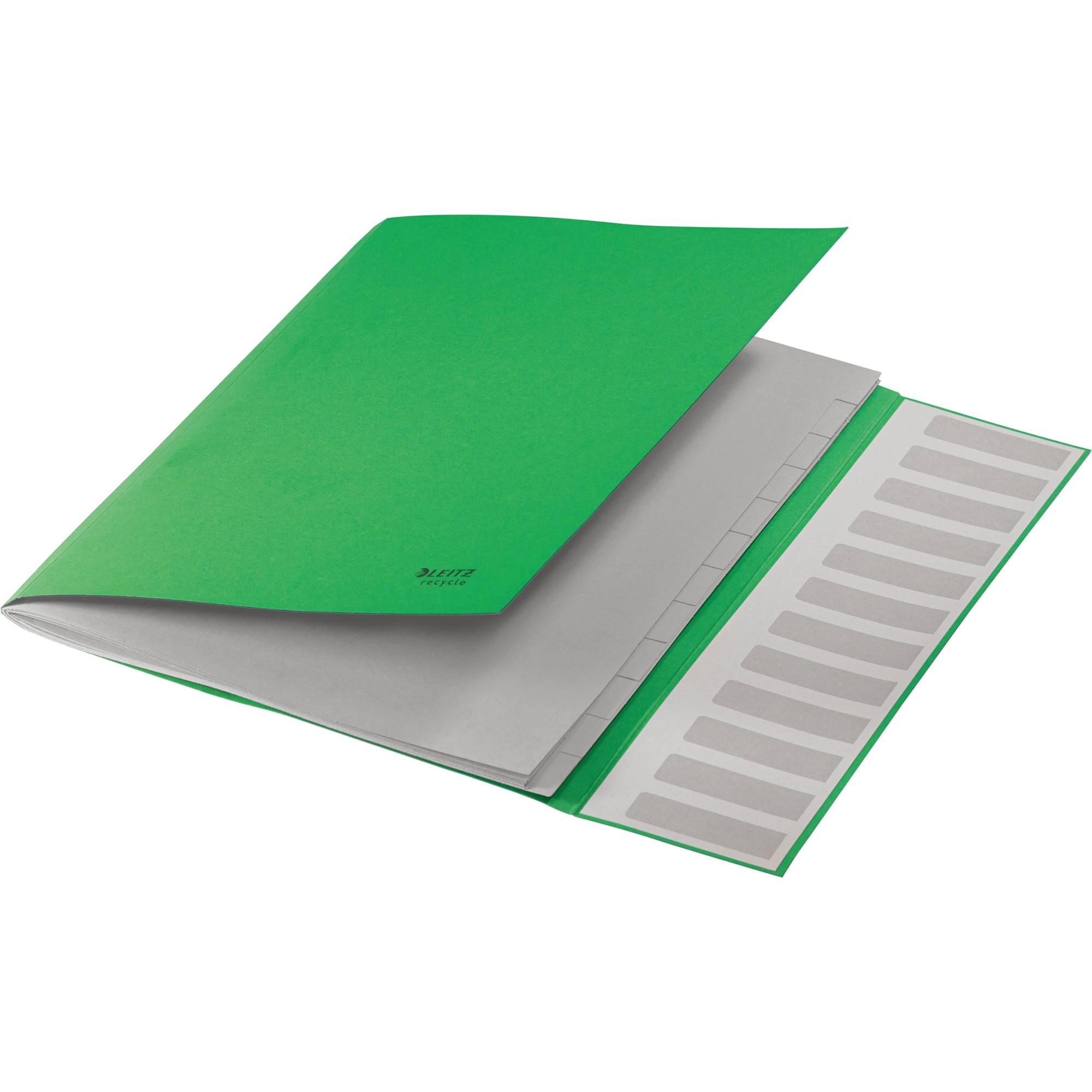 Cartella di ordine Leitz DIN A4 12 volte verde-2