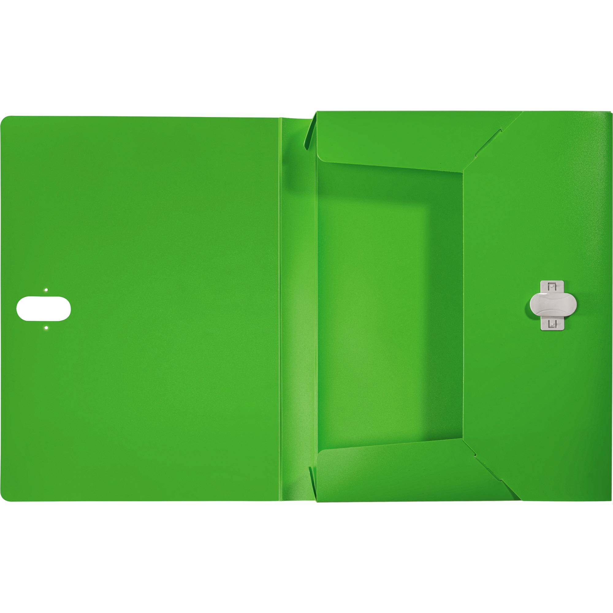 Leitz 46230055 raccoglitore 250 fogli Verde Polipropilene (PP)-1