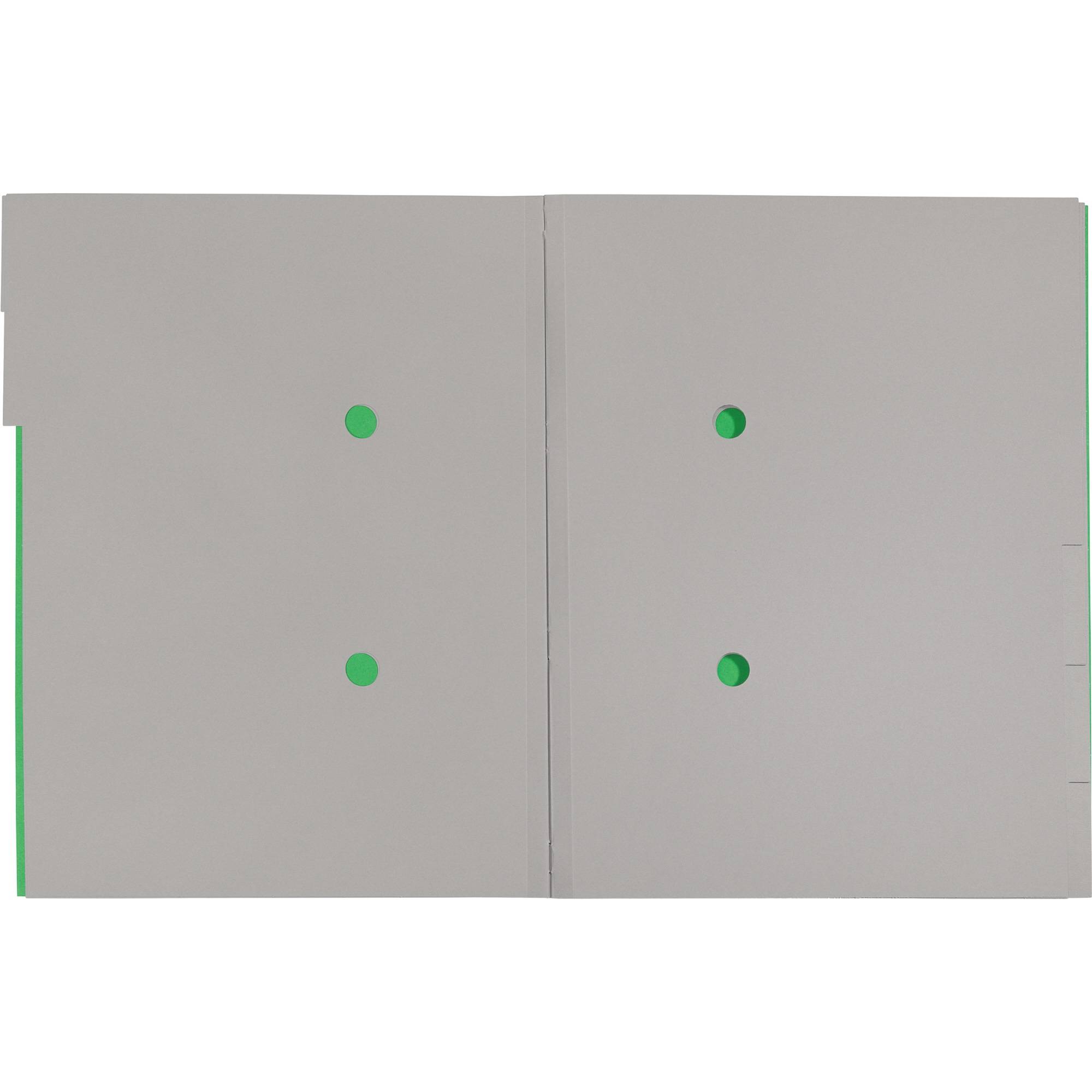 Cartella di ordine Leitz DIN A4 6 volte verde-2