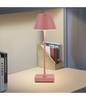 Lampada Tavolo Ricaricabile Usb 10 Watt 3 Colorazione Di Luce Vari Colori D27-3c - Rosa