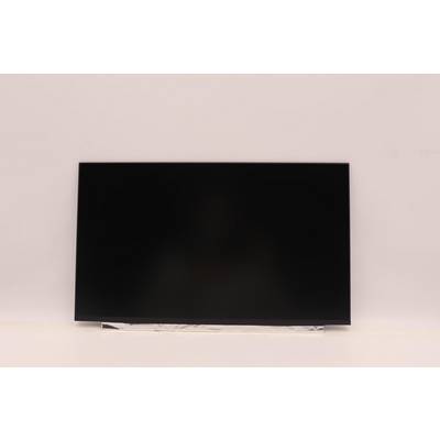 15.6-inch WXGA HD LCD LED - display - Warranty: 3M-0