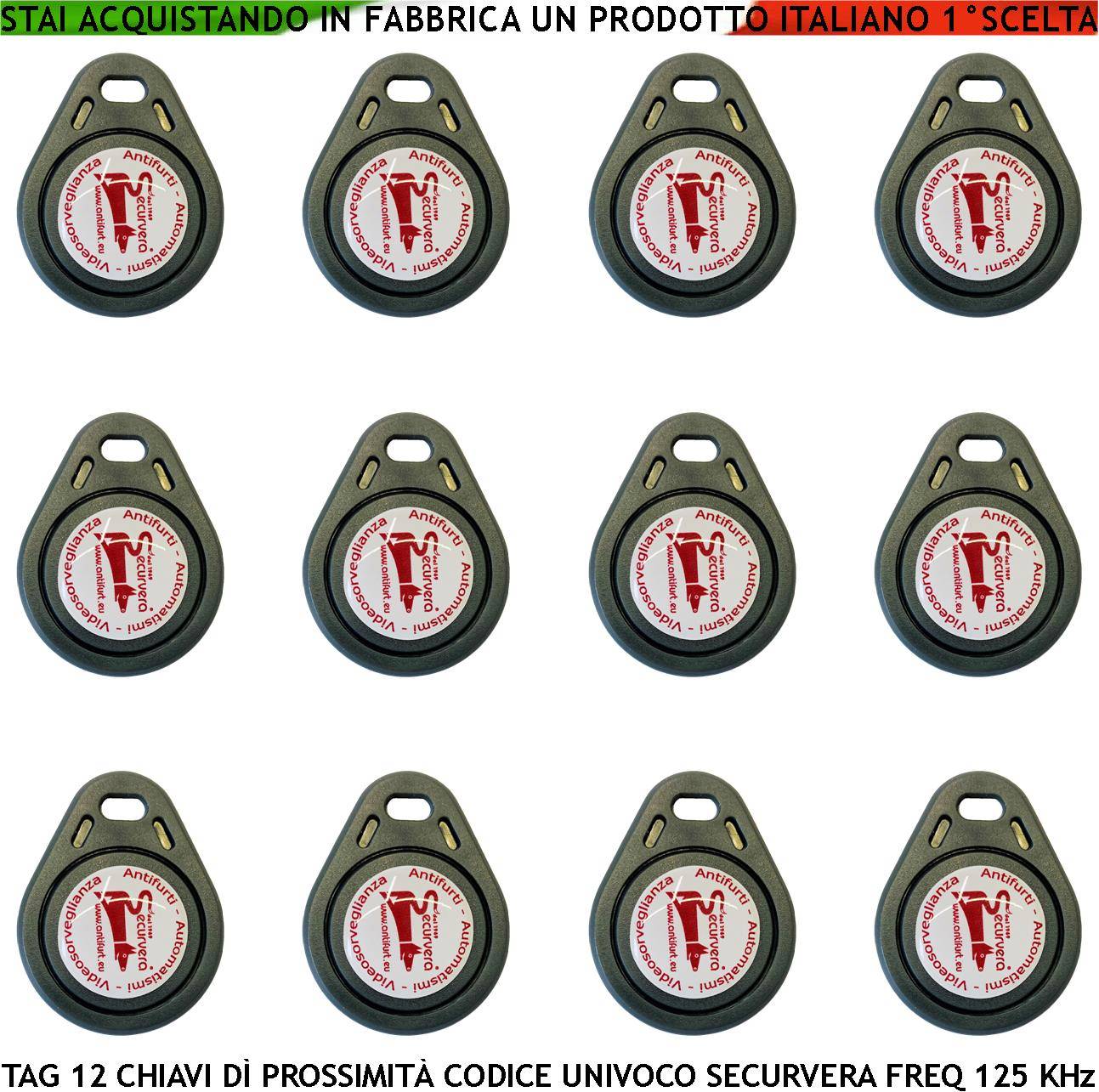 Trasponder di Prossimità Dodici Chiavi Alta Sicurezza Codice di Base Securvera Univoco EM-4100 Frequenza di Lavoro 125-0