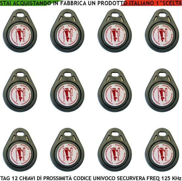 Trasponder di Prossimità Dodici Chiavi Alta Sicurezza Codice di Base Securvera Univoco EM-4100 Frequenza di Lavoro 125