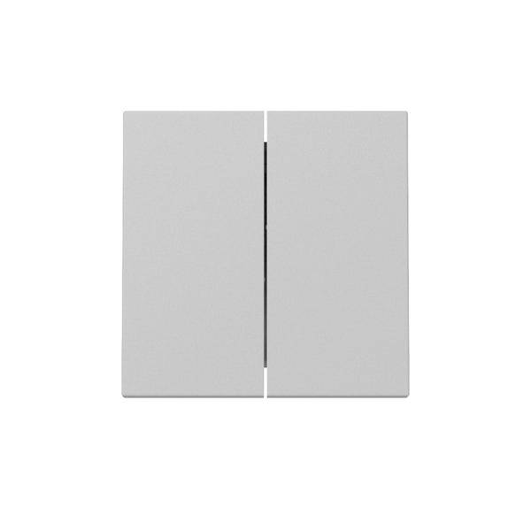 GIRA Wippe 3295015 2f Sys.55 gr m (3295015)-0