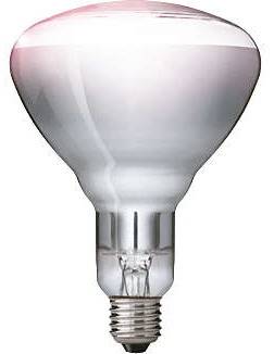 Philips - 923212143801 - BR125 IR 250W E27 230-250V CL 1CT/10-1