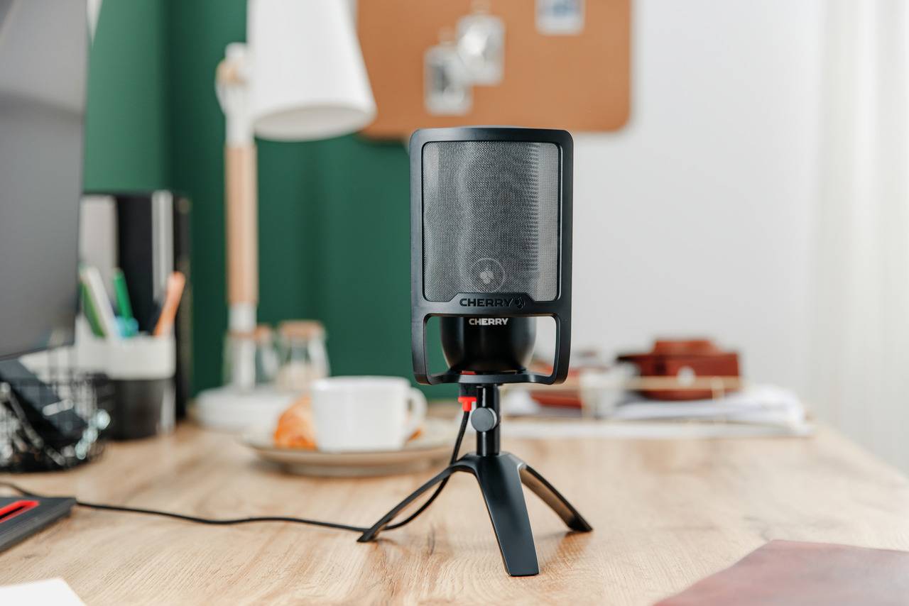 CHERRY UM POP FILTER-1