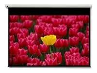 Optoma Pantalla 16:9 2656 x 1494mm schermo per proiettore 3,05 m (120")-1