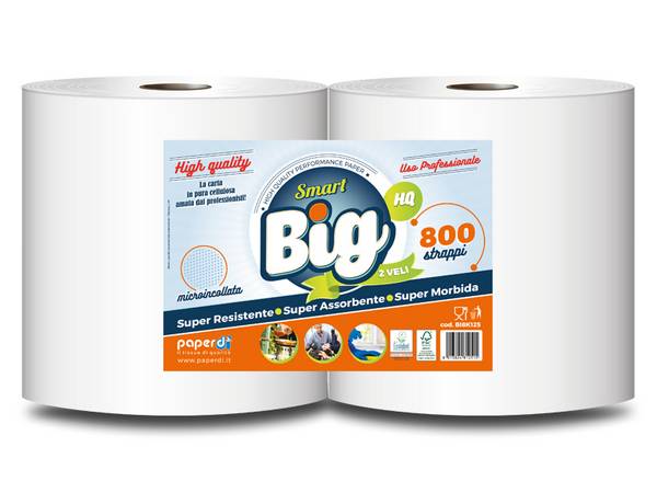 2 BOBINE CARTA ASCIUGAMANI BIG SMART