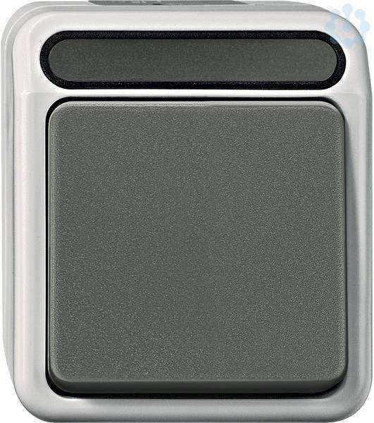 Schneider Electric 1 pezzo Interruttore per ambienti umidi Completo Pulsanti AQUASTAR Grigio luminescente 4074988 1 pz.-1