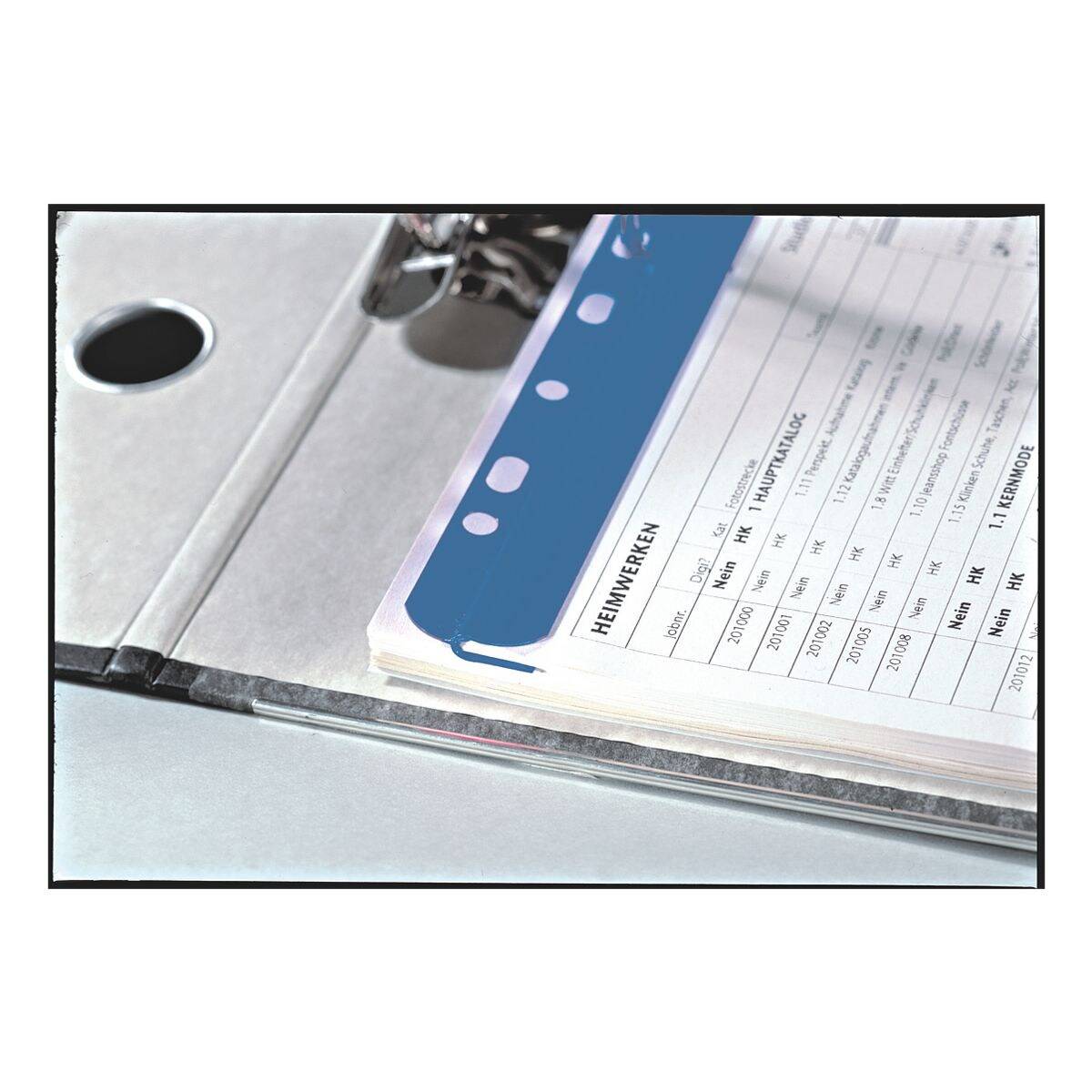Galles di serraggio Expro con una barra di archiviazione DIN A4 0,3 cm blu-1